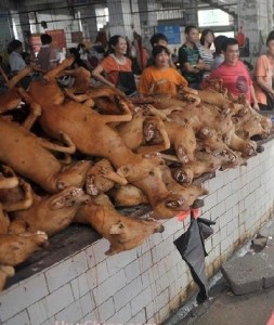 Dog-Meat-In-Chinese-Market-