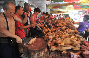 Dog-Meat-In-Chinese-Market 2