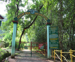 IMG_0625 Aaralam Kavalam