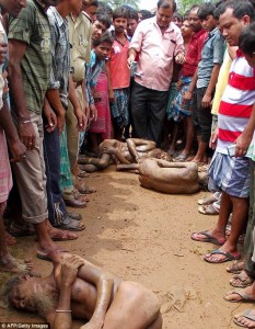 Indian rape suspects