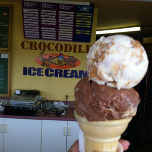 crocodile ice cream2
