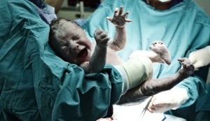 First womb-transplant baby born2