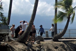 Boy, 17, killed by shark in Australia2