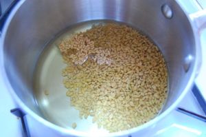 Fenugreek helps in weight loss3