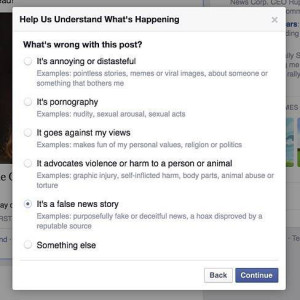 fb fake news