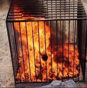 Jordan pilot hostage Moaz al-Kasasbeh 'burned alive2