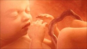 Babies Listen and Learn While in the Womb1