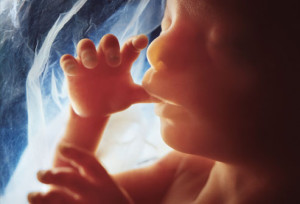 Babies Listen and Learn While in the Womb2