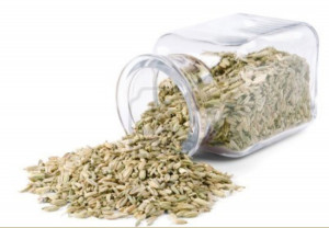 Fennel-Seed