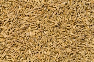 cumin
