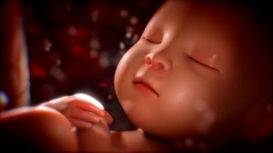 stock-footage-human-baby-in-mother-s-womb