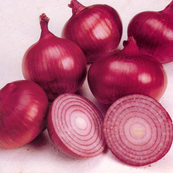 Purify blood by putting sliced up onions in your socks while you sleep1