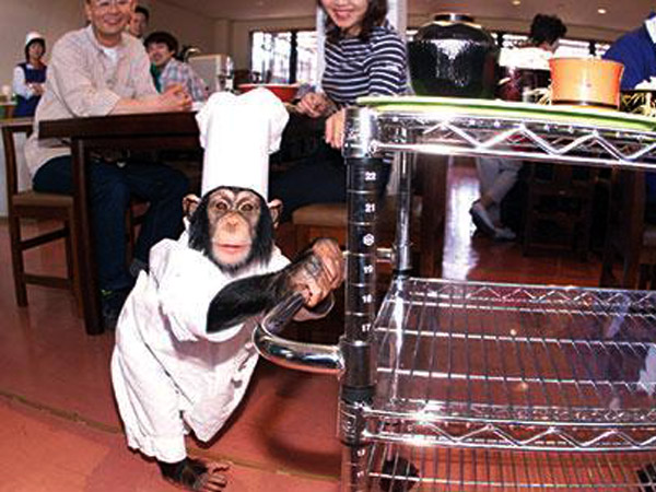 28-1430217221-25-1429937347-1stimage