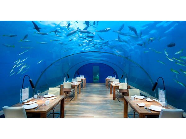 28-1430217227-25-1429937353-2ndimage