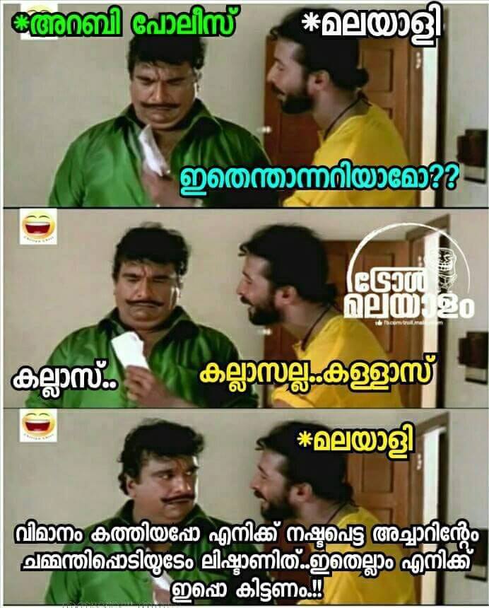 13884434_850024665129305_1288715078_n