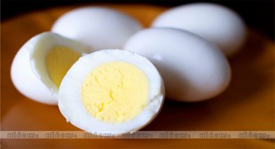egg (1)