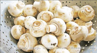 food (1)