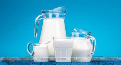 milk (1)